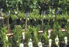Moorabbinplant-nursery-14.jpg; ?>