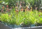 Moorabbinplant-nursery-17.jpg; ?>