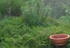 Moorabbinplant-nursery-21.jpg; ?>