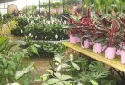 Moorabbinplant-nursery-7.jpg; ?>