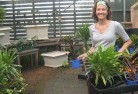 Moorabbinplant-nursery-9.jpg; ?>